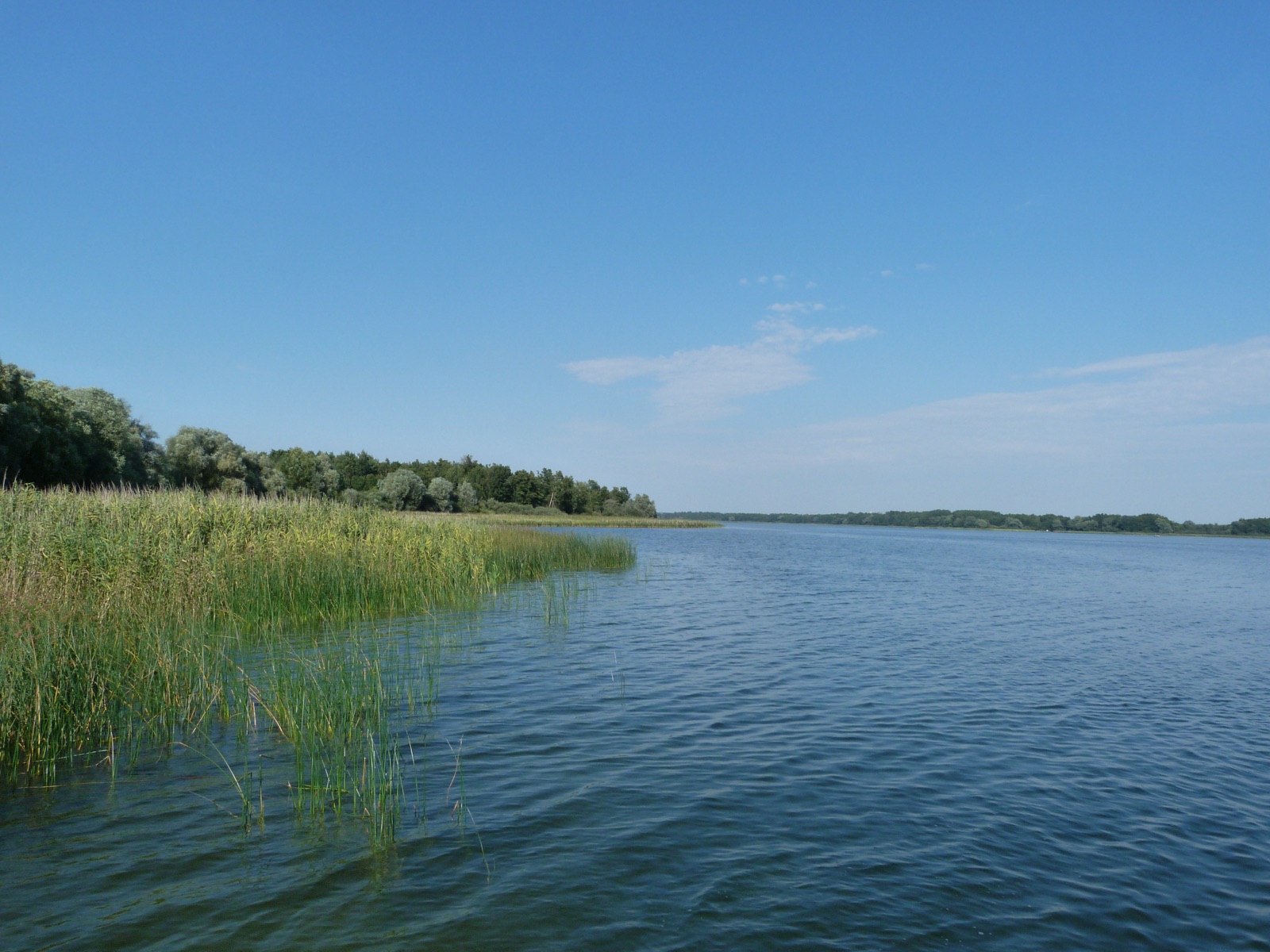 View of Lake Soldin near Kruszwin